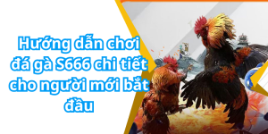 Hướng dẫn chơi đá gà S666 chi tiết cho người mới bắt đầu