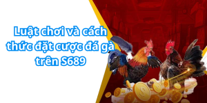 Luật chơi và cách thức đặt cược đá gà trên S689