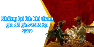 Những lợi ích khi tham gia đá gà SV388 tại S689