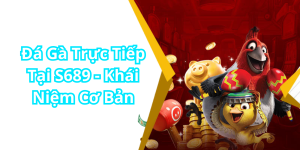 Đá Gà Trực Tiếp Tại S689 - Khái Niệm Cơ Bản