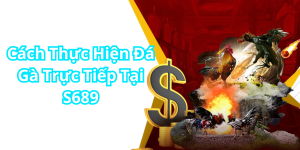 Cách Thực Hiện Đá Gà Trực Tiếp Tại S689